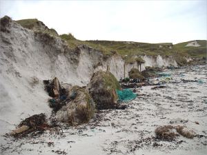 Eroding sand dunes of tombola with large clods of turf and fence posts on the beach
