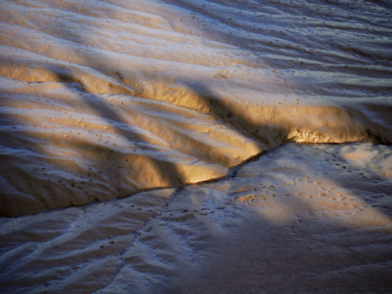 Natural dendritic patterns in soft river mud