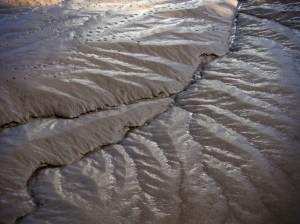 Dendritic drainage patterns in soft river sediments