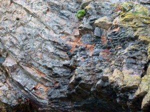 Rhossili cliff limestone rock strata