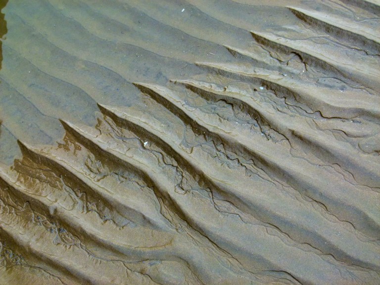 Natural sand ripple patterns with dendritic drainage channels