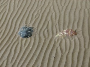 Low tide sand ripple beach pattern