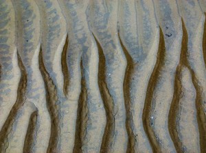 Sand ripples merging with tide pool