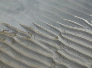 Sand ripples merging with tide pool