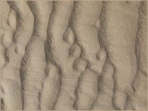 Natural sand ripple patterns on the beach