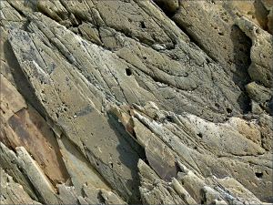 Natural pattern, shape, and texture in Silurian bedrock at Ferriters Cove