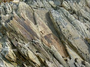 Natural pattern, shape, and texture in Silurian bedrock at Ferriters Cove