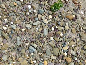 Beach stones and pebbles at Ferriters Cove on the Dingle Peninsula