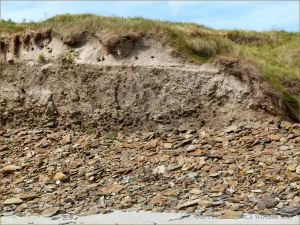 Silurian rocks at Ferriters Cove