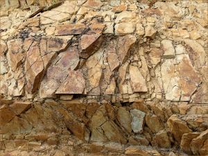 Silurian rocks at Ferriters Cove