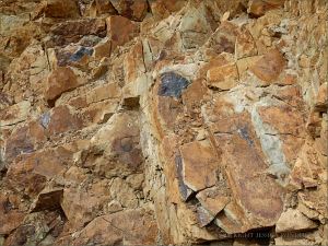 Silurian rocks at the north end of Ferriters Cove