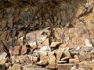 Silurian rocks at the north end of Ferriters Cove