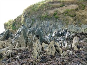 Silurian rocks at the north end of Ferriters Cove