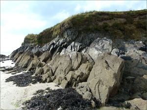 Silurian rocks at the north end of Ferriters Cove