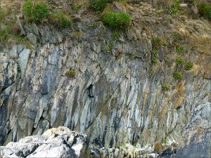 Silurian rocks at the north end of Ferriters Cove