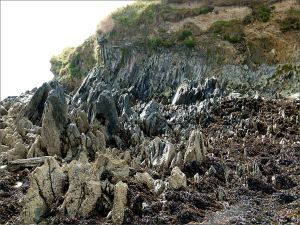 Silurian rocks at the north end of Ferriters Cove