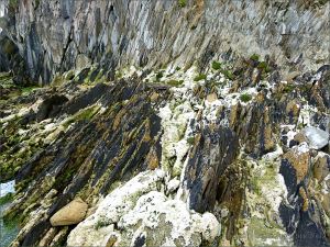 Silurian rocks at the north end of Ferriters Cove
