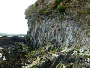 Silurian rocks at the north end of Ferriters Cove