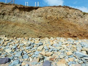 Silurian Period rocks and pebblesbelonging to the Dunquin Group on the Irish Coast.