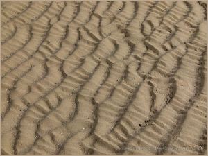 Natural sand ripple patterns on the beach