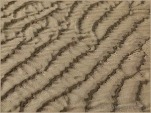 Natural sand ripple patterns on the beach