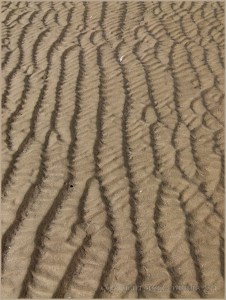 Natural sand ripple patterns on the beach