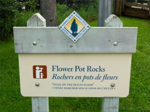 Viewpoint sign for the Flower Pot Rocks at Hopewell Rocks in New Brunswick, Canada.