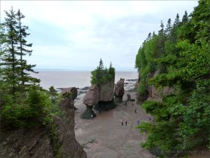 View looking down to the beach with cliffs and seastacks at Hopewell Rocks in New Brunswick.