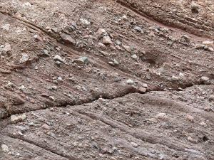 Detail of layering and texture in conglomerate from the Lower Carboniferous Hopewell Cape Formation