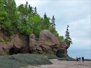 Tree-topped red cliffs and sea-stacks at Hopewell Rocks in New Brunswick, Canada.