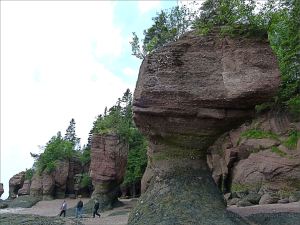 Tree-topped red cliffs and sea-stacks at Hopewell Rocks in New Brunswick, Canada.