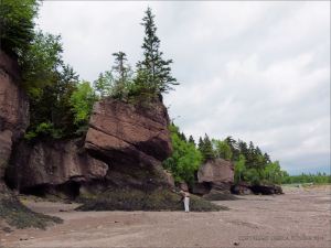 "Flower Pot" sea-stack and cliff at Hopewell Rocks in New Brunswick