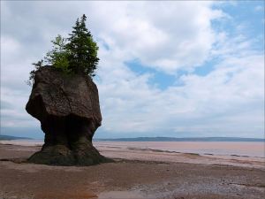 "Flower Pot" sea-stack at Hopewell Rocks in New Brunswick, Canada.