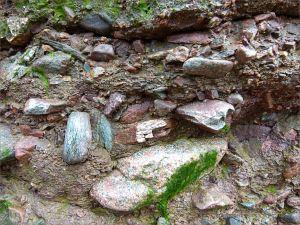 Detail of texture and composition in conglomerate from the Lower Carboniferous Hopewell Cape Formation