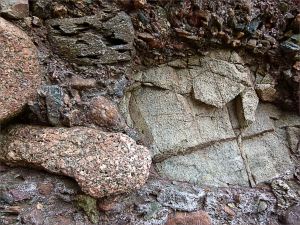 Detail of the composition of Lower Carboniferous Hopewell Cape Formation conglomerate at Hopewell Rocks in New Brunswick