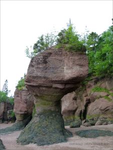 Sea stack or "flower pot" at Hopewell Rocks in New Brunswick.