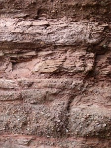 Detail of the composition of Lower Carboniferous Hopewell Cape Formation conglomerate, sandstone and mudstone layers at Hopewell Rocks in New Brunswick