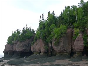 Red cliffs with vertical fissures and horizontal undercutting at Hopewell Rocks in New Brunswick.