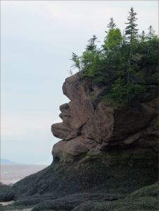 Face-like profile in the cliffs at Hopewell Rocks in New Brunswick