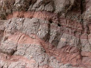 Detail of the oxidised redbeds of the Hopewell Cape Formation in New Brunswick