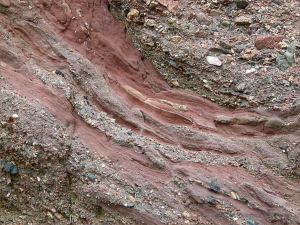 Detail of the oxidised redbeds of the Hopewell Cape Formation in New Brunswick