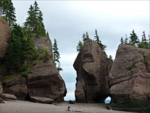 Sea-stacks known as "flower pots" at Hopewell Rocks in New Brunswick