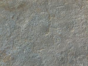 Detail of Chondrites trace fossils in Silurian rock from the Dingle Peninsula