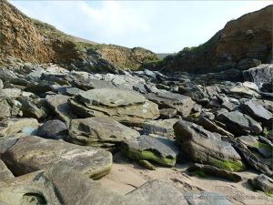 Beach boulders with Chondrites trace fossils at Clogher Bay