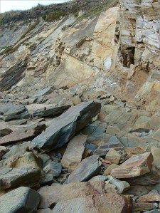Beach boulders with Chondrites trace fossils at Clogher Bay