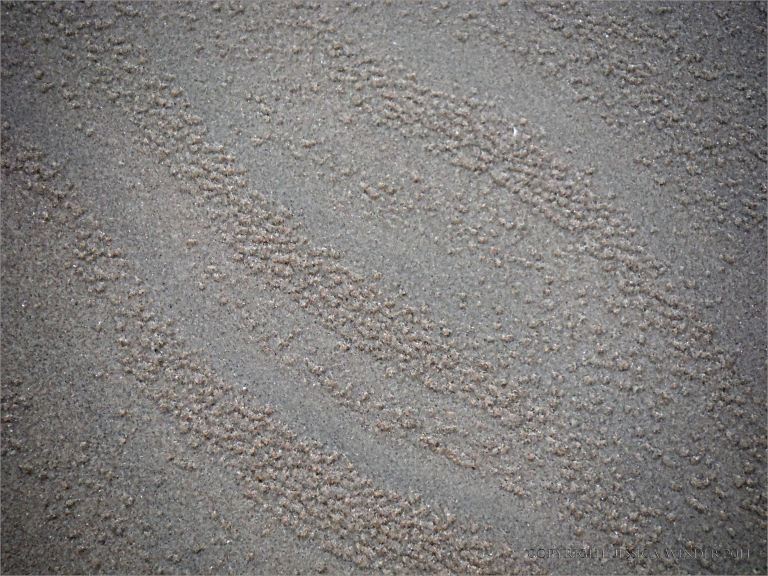 Natural sand patterns on Rhossili beach in Gower
