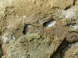 Rock colour and texture in Silurian Period silt stones and sandstones from the Drompoint Formation in Dingle