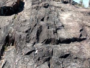 Rock texture on the Lookout rock outcrop at Four Mile Beach in Port Douglas