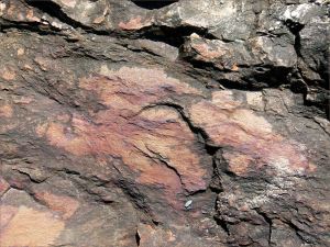 Weathered rock close-up from the Lookout outcrop at Four Mile Beach in Port Douglas