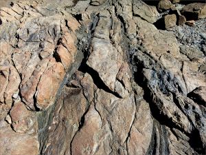 Narrow bands of dark rock running through a lighter rock near Four Mile Beach in Port Douglas
